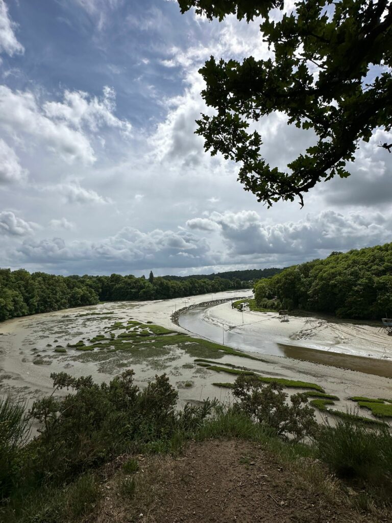 En bord de Rance (La Vicomté-sur-Rance)